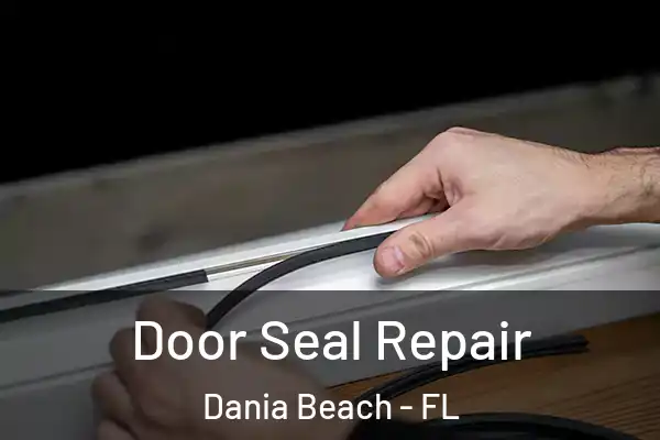 Door Seal Repair Dania Beach - FL